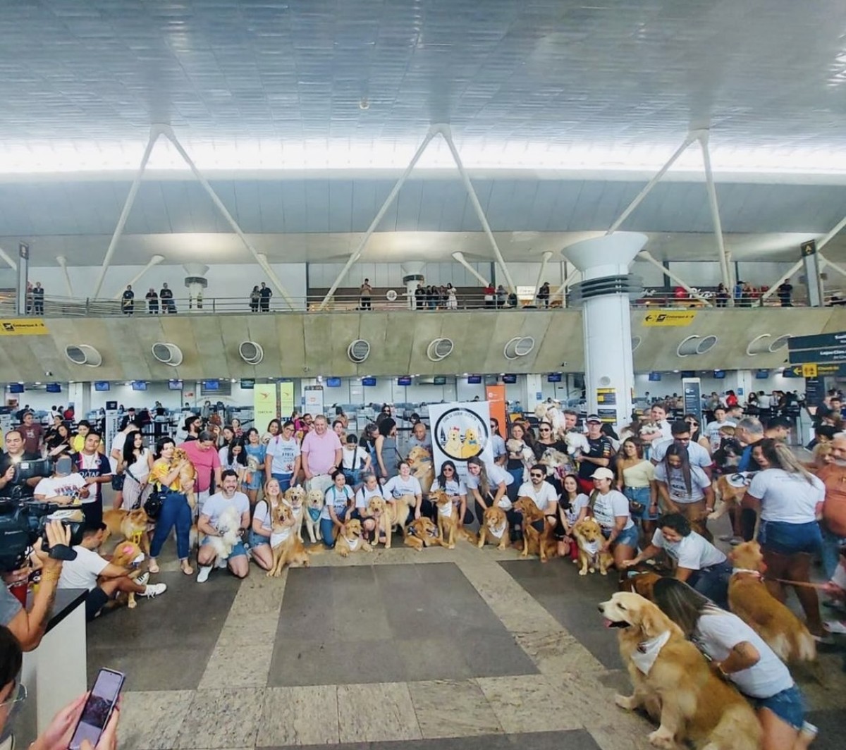 Justiça por Joca: Tutores de cães paraenses fazem ato pacífico no aeroporto em favor da causa animal | Pará