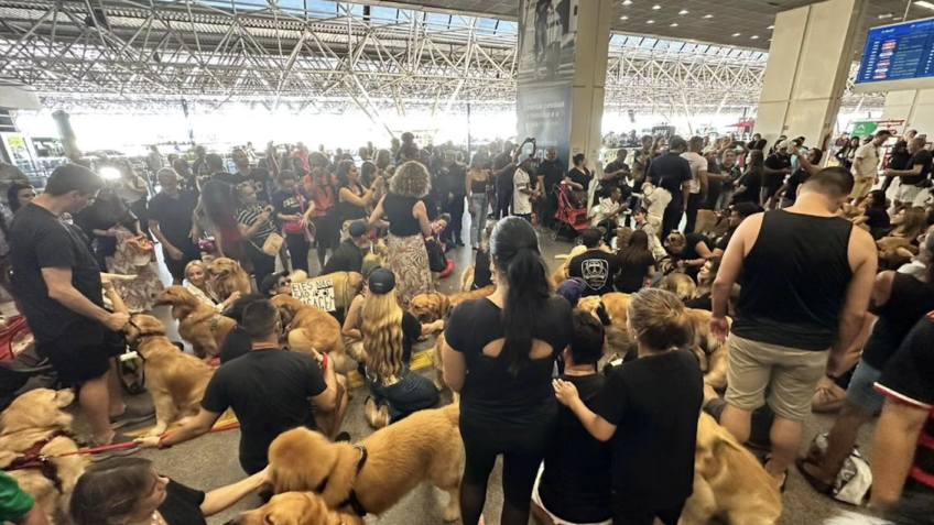 Tutores realizam atos em 20 aeroportos após morte de cachorro em voo da GOL