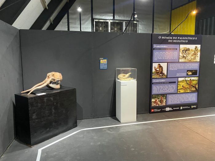 Cultura oferece passeio aos primórdios com projeto “Rondonópolis, uma ancestralidade latente: nos caminhos da paleontologia, da arqueologia e da antropologia”