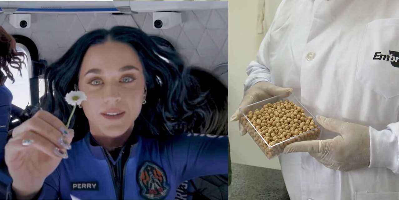Katy Perry foi ao espaço com batata-doce e grão-de-bico brasileiros; entenda