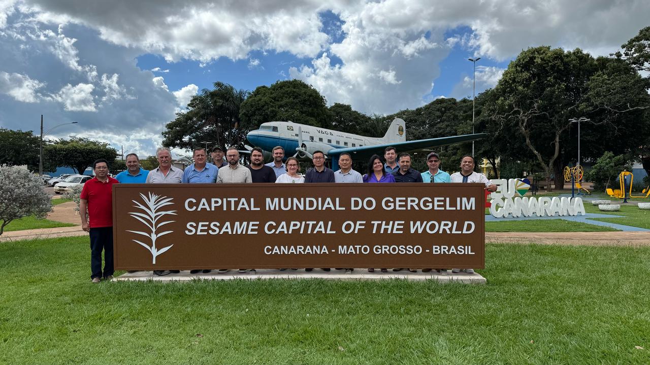 Empresários chineses visitam Canarana com interesse na exportação de gergelim