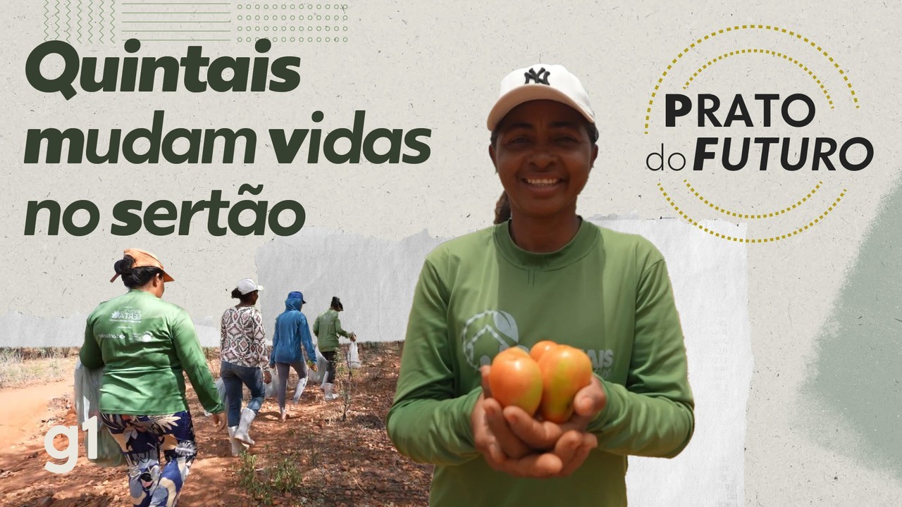 'Não conhecia rúcula, salsa, couve': como a agricultura mudou vidas em um deserto alimentar do Brasil