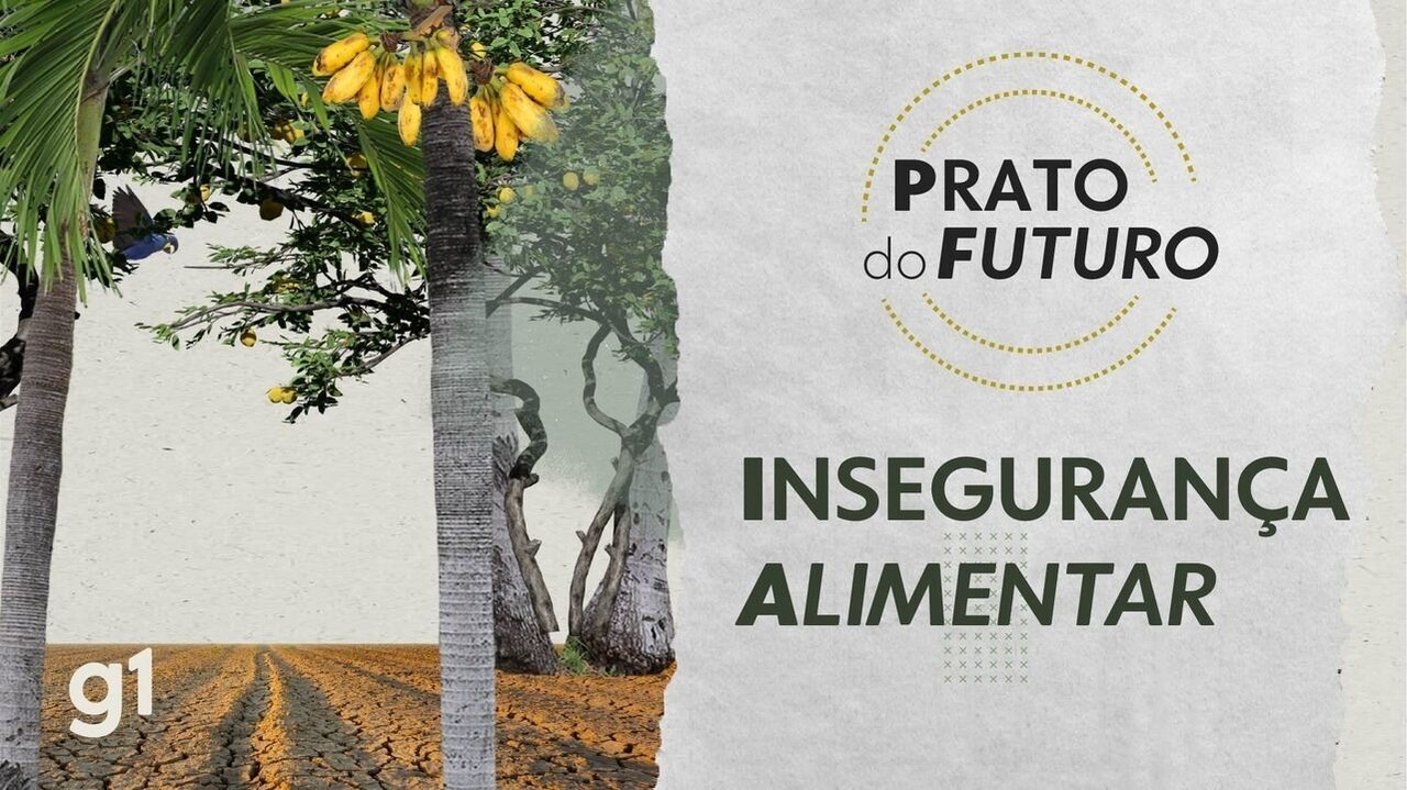 Qual é a diferença entre fome e insegurança alimentar