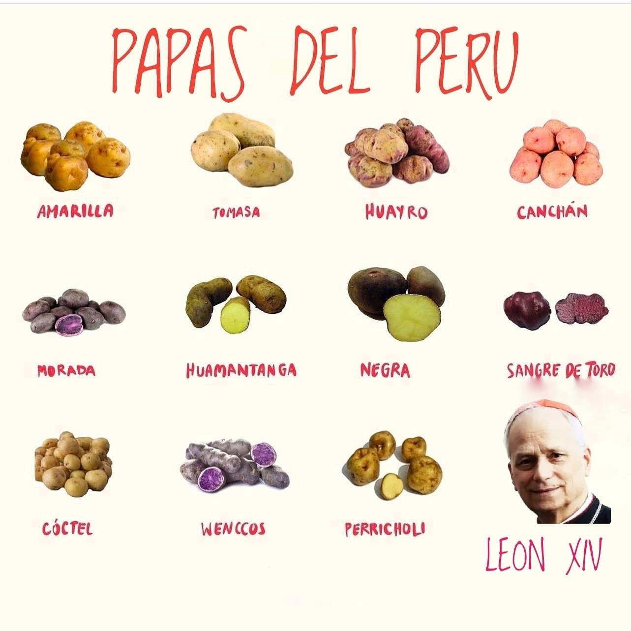 'Mais latino que o elenco de Emília Perez': novo papa gera memes nas redes sociais