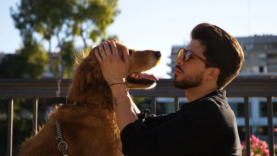 Gigante quer lançar tradutor de sons e gestos de animais para humanos