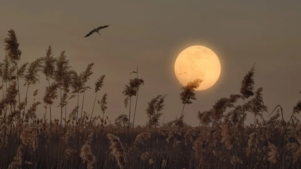 Os três signos que serão mais impactados pela lua cheia desta semana