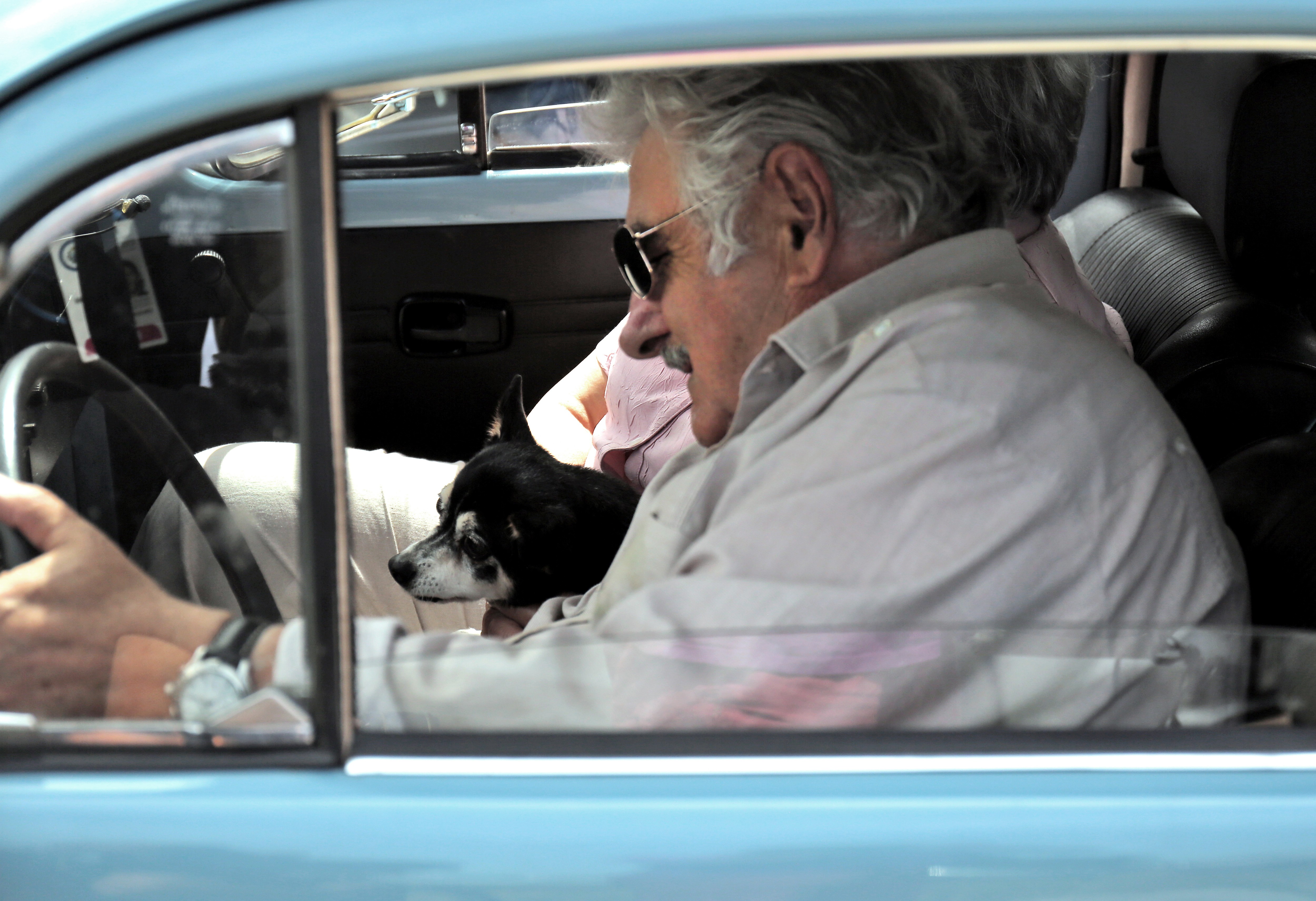 Manuela: relembre a história da cadela de três patas que virou símbolo do estilo de vida simples de Mujica