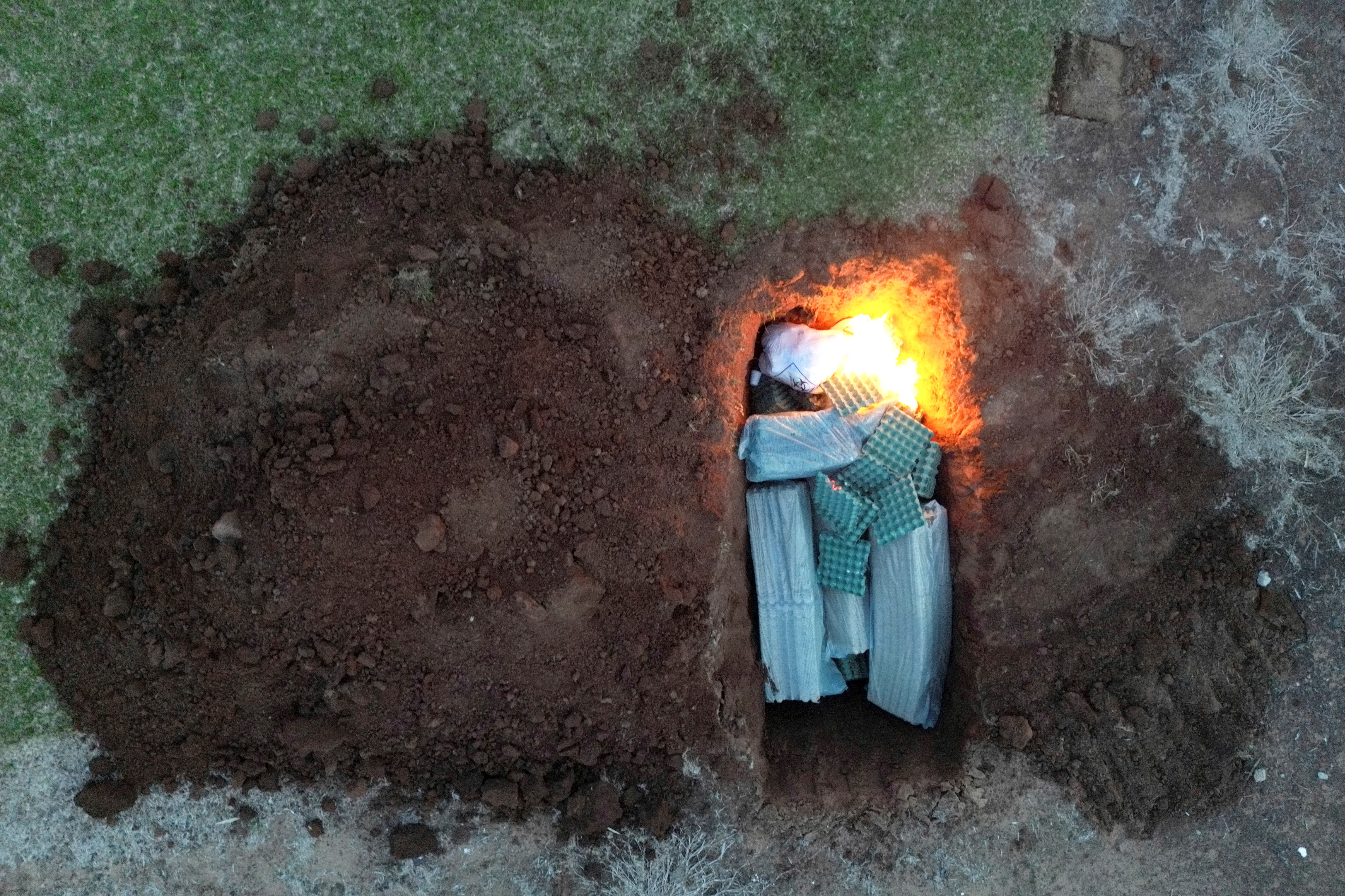 Material genético é coletado em propriedade rural a 3 km do primeiro foco de gripe aviária no RS
